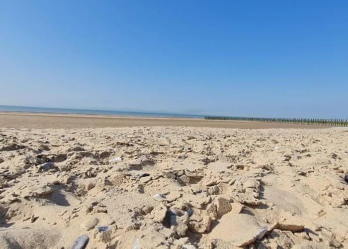O De Vents - A 30M De La Plage